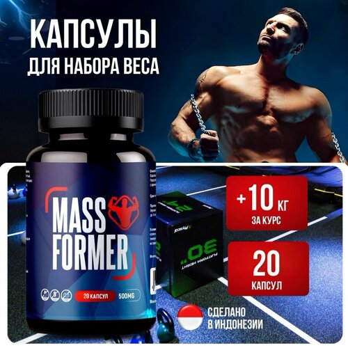 ������ ������ MassFormer ������� ��� ������ �������� ����� �������� � �������� 20 ���� � �������� ����