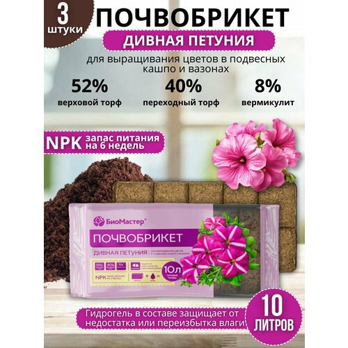 ������ ������ ��������� ����������� ������ ������� � ����������� ��������� 10 ������, 3 �� ����