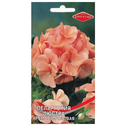 ������ ������ ���������� (������) ������, �������-�������, 4 ����� ����