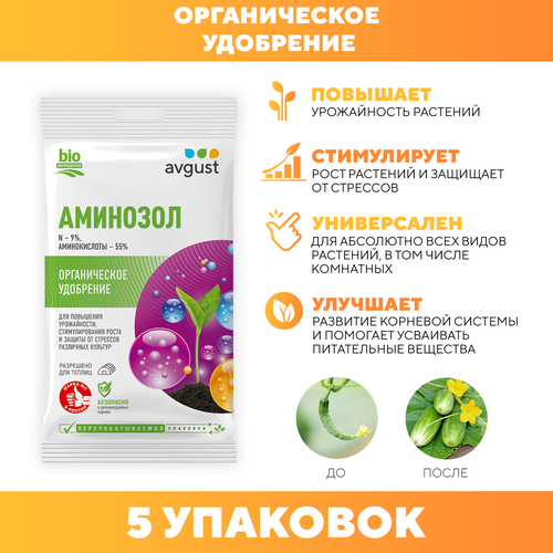 ������ ������ ������������ ��������� � ������ ���������� ����������� ��������, Avgust 5�� 5�� ����