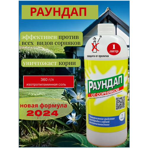 ������ ������ ������� - ����������� �������� �� �������� ����