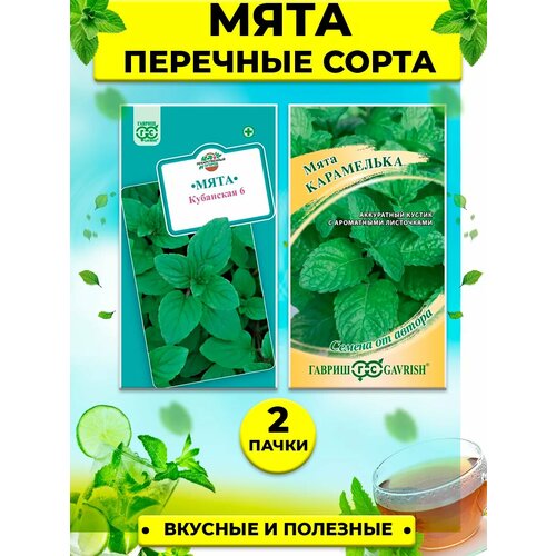 ������ ������ ������ �������� ���� ����� ����