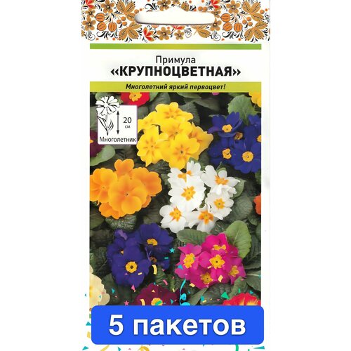 ������ ������ ����� ������� ������������� 5 ������� ����