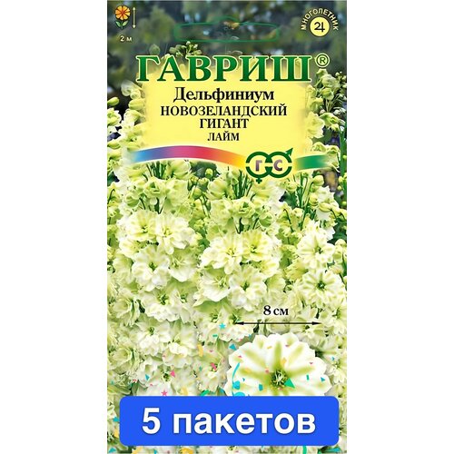 ������ ������ ����� ���������� ������������� �������������� 5 ������� ����