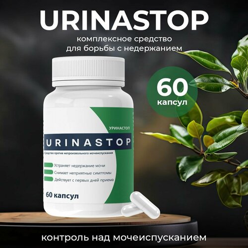 ������ ������ �������� �� ���������� � ������� ����