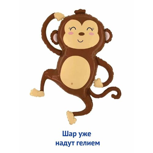 ������ ������ ��������� ��� � ������ �������������� ������ ������ �������� ����