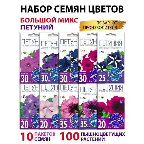 ������ ������ ����� ����� ������ ������� 10 ������ ����