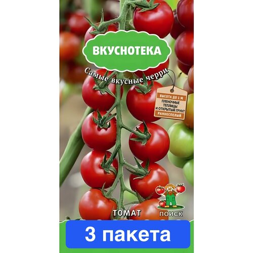 ������ ������ ������ ������ ����� 