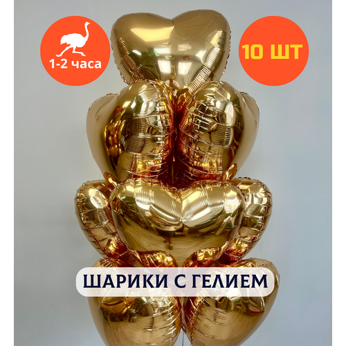 ������ ������ ������ ��������� �� ���� ��������, ��������� ���� � ������, ���� � ���� ��������, ����� ����� ��� ������� 