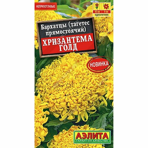 ������ ������ ������ �������� ���������� ���� ����, ����������, (������) 0,1� ����