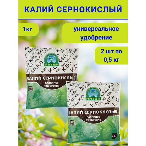 ������ ������ ��������� ����� �����������, 1 �� ����