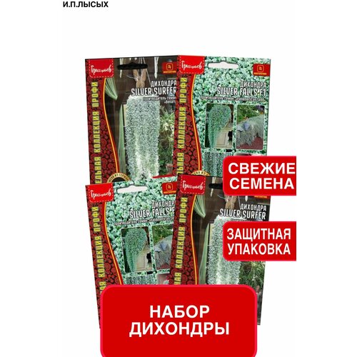 ������ ������ ����� ����� �������� ����