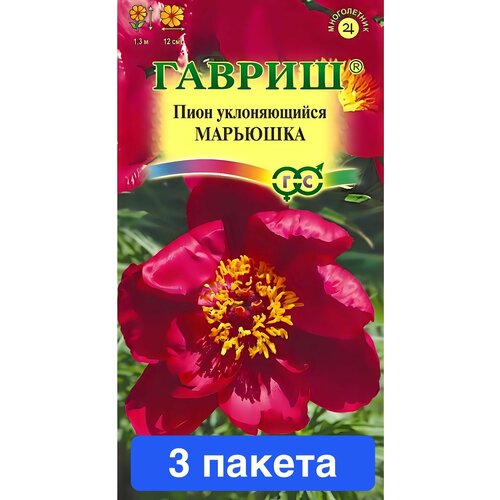 ������ ������ ����� ���� ������������ �������� 3 ������ ����