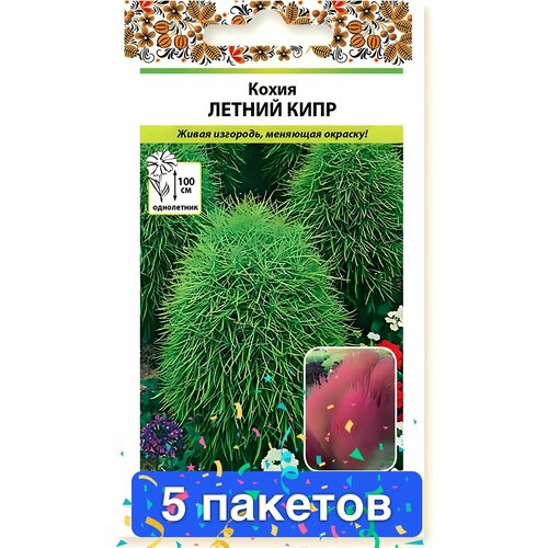 ������ ������ ����� ����� ������ ���� 5 ������� ����