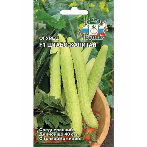 ������ ������ ������ 