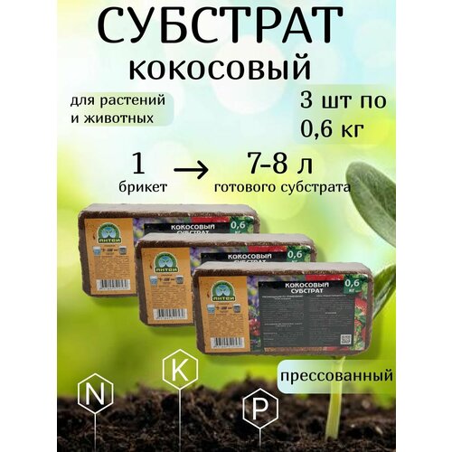 ������ ������ �������� ��������� (������/����/�����������) ��� �������� ����������, ������ 0.6 ��, 3 ����� ����