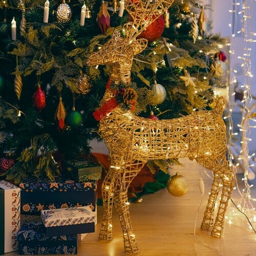 ������ ������ ������������ ������ ������ ���������� 35 ? 60 ? 10 ��, ������, 220 �, ��������, �������� ����� ����� ����