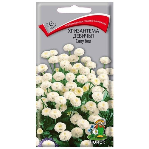 ������ ������ ���������� ������� ���� ��� ����