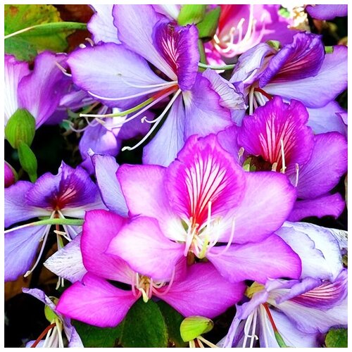 ������ ������ ���������� ������ ���������, ������, 5 ��, ���������, ������������ ������ ����