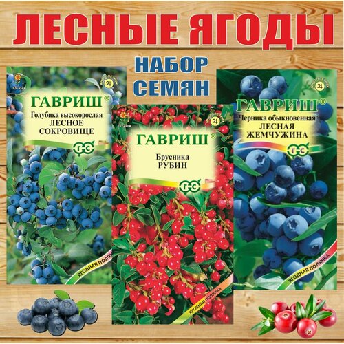 ������ ������ ������ ����� ����� ����� ����