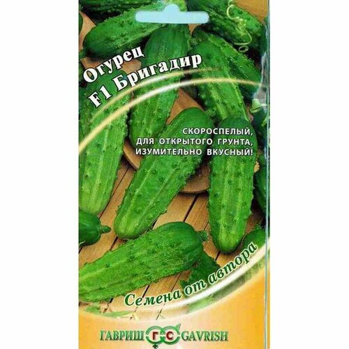 ������ ������ ������ ������ �������� F1 ��, �����������, (������) 10�� ����