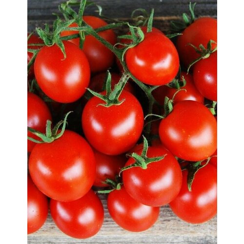 ������ ������ ������ ����� �������� ������ 20�� ��� ������ (����time) ����