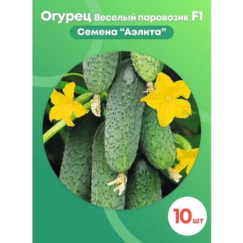 ������ ������ ������ ������ 