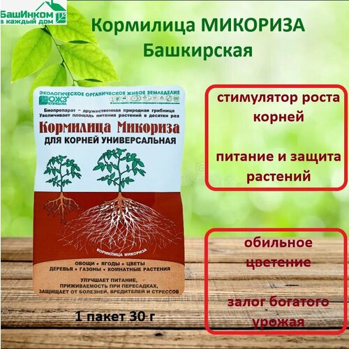 ������ ������ ��������� �������� ����������, 1 ����� 30 � ����