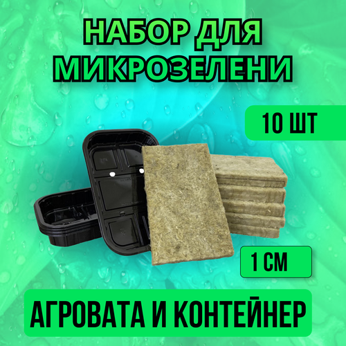 ������ ������ ����� �������� + ��������� - 10 ��. ����