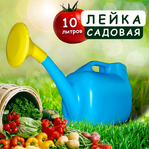 ������ ������ ����� ������� � ������������� 10� ����� ����