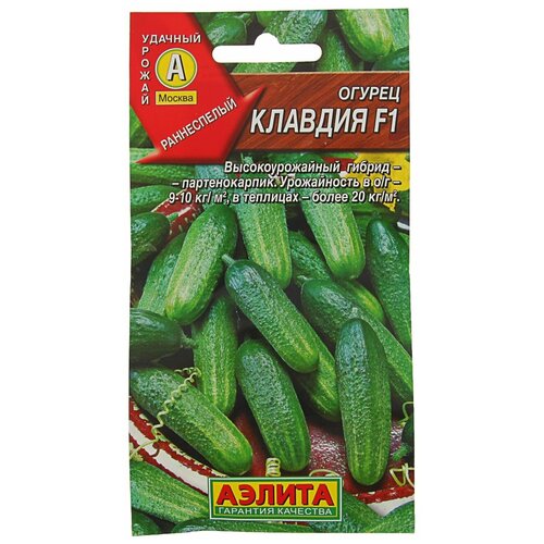 ������ ������ ������ ������ 