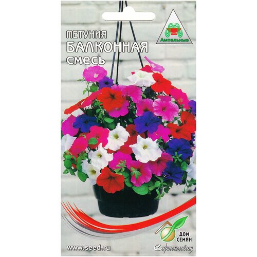 ������ ������ ������� ���������, 210 ����� ����