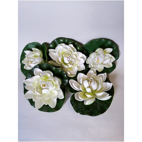 ������ ������ ������� ������� ��� ����� �������������, �����, ����� 5 ��������� ����