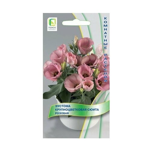 ������ ������ ������ ������� ����� ����� ��������������� ������� 5 �� ����