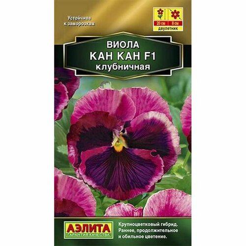 ������ ������ ������ ����� ���-��� ���������� ��. (������) 7�� ����