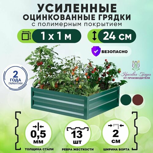 ������ ������ ������ ������������ �� ���� � ���������� ��������� ��������� 1�1 ���� / ���������� ������������� ��� �������� � ������� � �������� ����� / ������ ��� ���� � ������� ������ ����� 24 �� ����