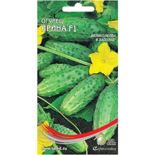 ������ ������ ������ ����� F1, 10 ����� ����