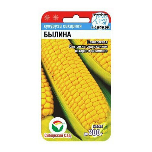 ������ ������ ������ �������� ������ �������� 6�� ������ (��������� ���) ����