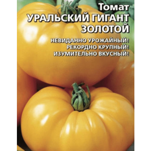 ������ ������ ������ ����� ��������� ������ ������� 20�� ����� ������ (��������� ������) ����