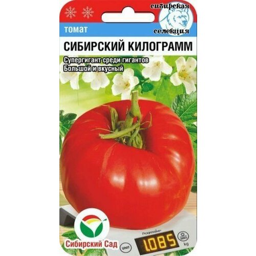 ������ ������ ������ ����� ��������� ��������� 20�� ����� (��������� ���) ����