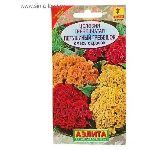 ������ ������ ������� ����������� 