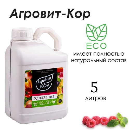 ������ ������ ��������� �������-���, ����� �, ������, 5� �������� ����