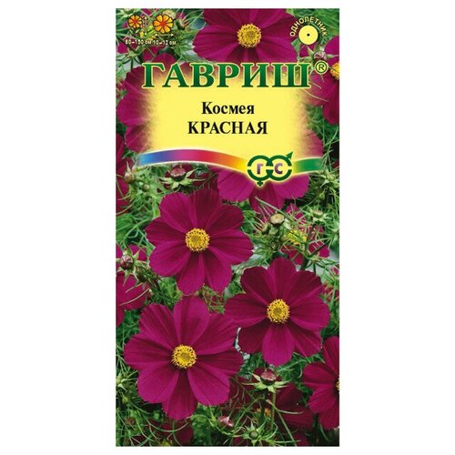 ������ ������ ������. ������ 