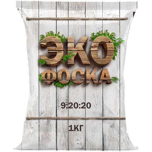 ������ ������ ��������� ����������� ��������. 1 �� ����