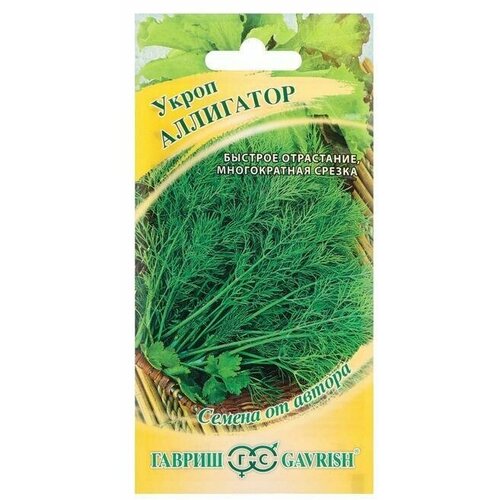 ������ ������ ������. ����� 