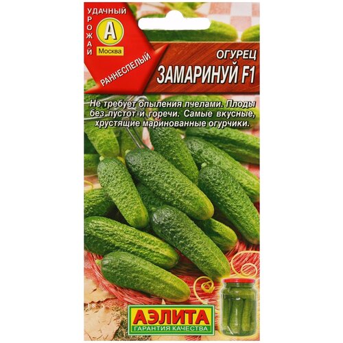 ������ ������ ������ ��������� ������ ������ ��������� F1 10 ��. ����