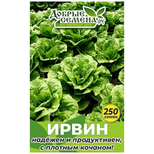 ������ ������ ������ ������ ����� - 250 �� - ������ ������. �� ����