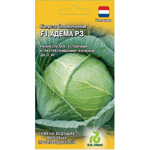 ������ ������ ������ ������� ������������ ����� �� F1 10 �� ������ (������) ��������� ����