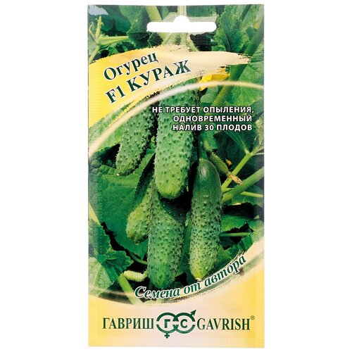 ������ ������ ������ �����, 10�� (������) ����