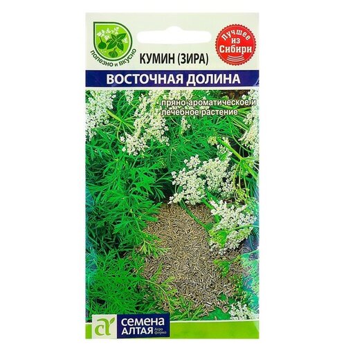 ������ ������ ������ ����� (����) 